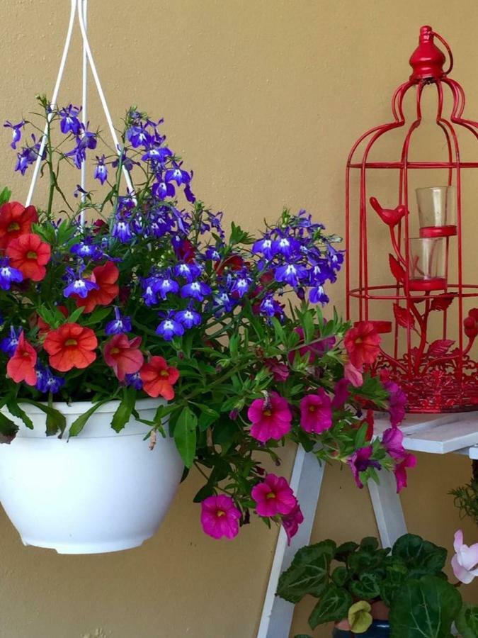 Casa De Ferias Josefa D'Obidosヴィラ エクステリア 写真